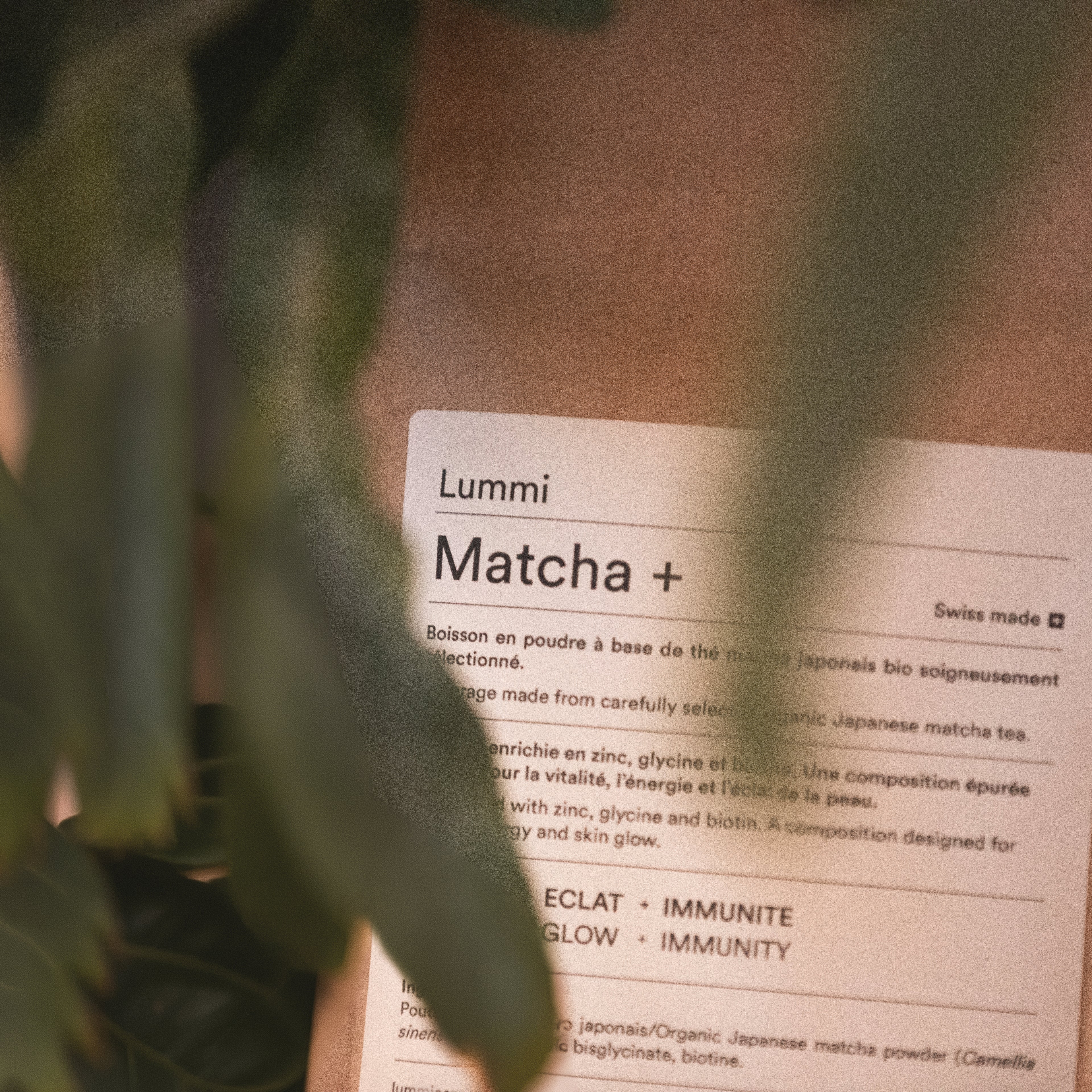 Lummi Matcha +